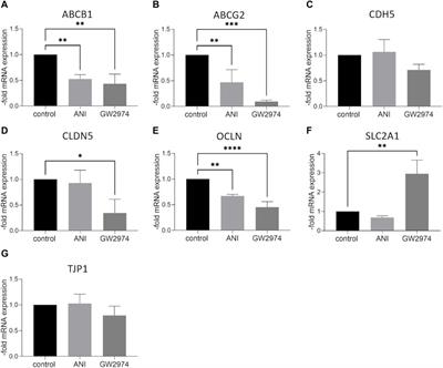 High-throughput drug screening to investigate blood-brain barrier permeability in vitro with a focus on breast cancer chemotherapeutic agents